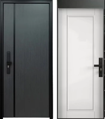 Дверь Цербер 101